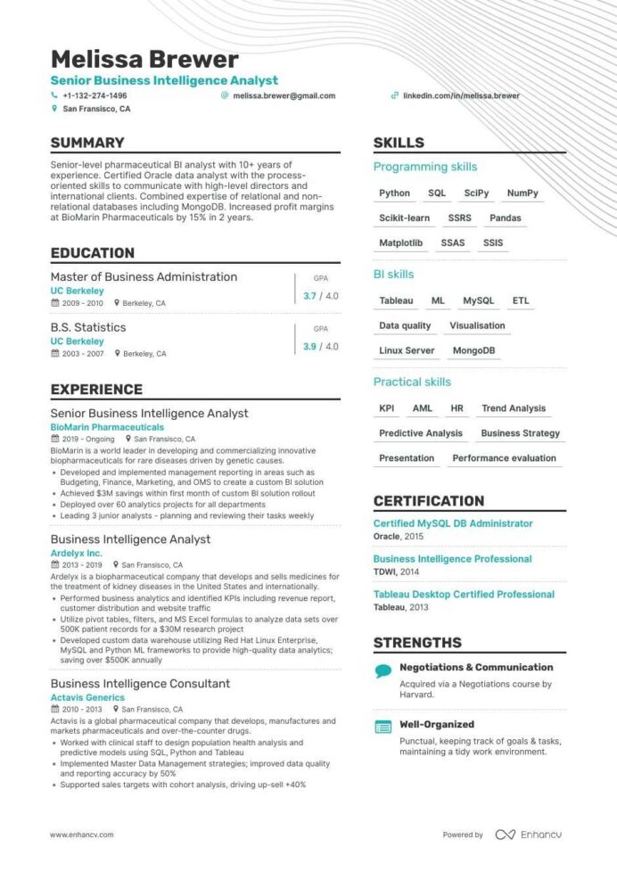 business intelligence resume examples templates expert advice sample senior analyst Resume Business Intelligence Resume Sample